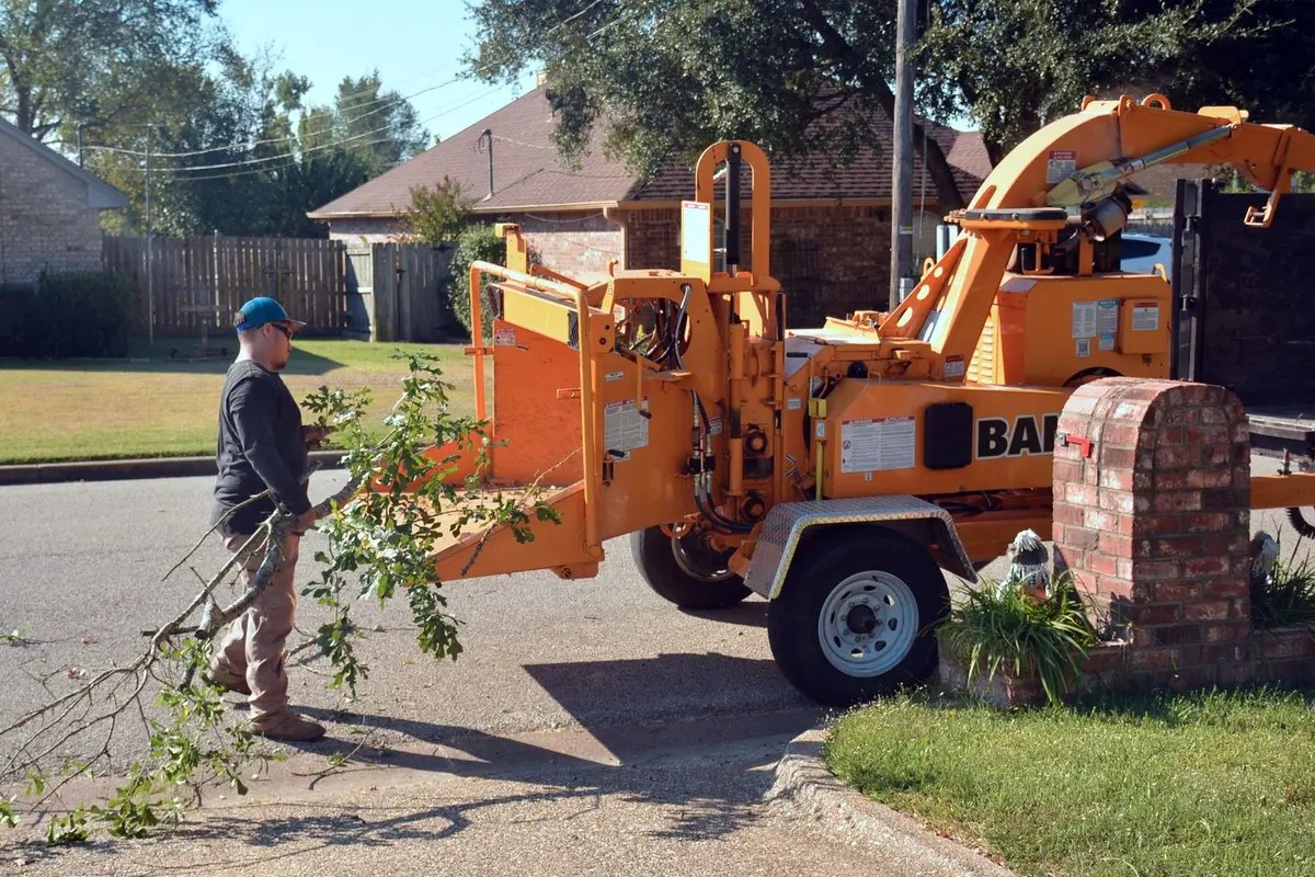 a worker feeding a cut branch into a wood chipper at the curb